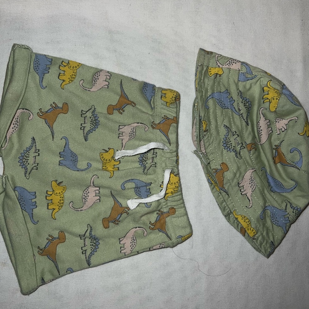 Dinosaur Print Kids Hat and shorts Set